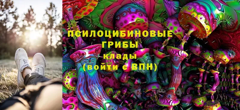 KRAKEN онион  Баймак  Галлюциногенные грибы Psilocybine cubensis 